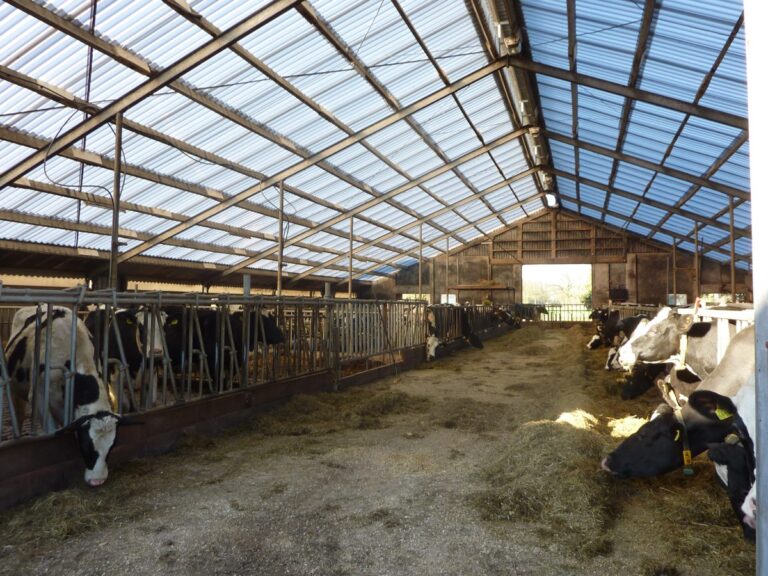 Projectfoto Renovatie met Heat Guard 100 in Aalten