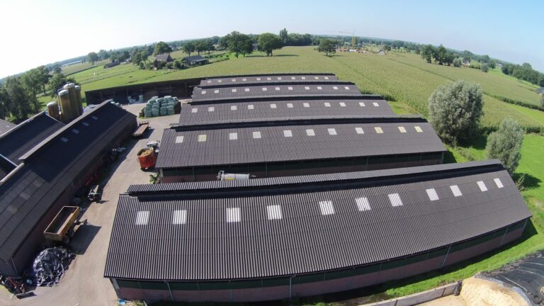 Projectfoto Landini golfplaten in Beemte-Broekland