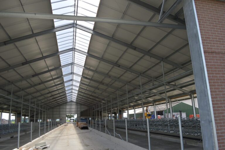 Lichtnok van polycarbonaat kanaalplaten in koeienstal in Berltsum