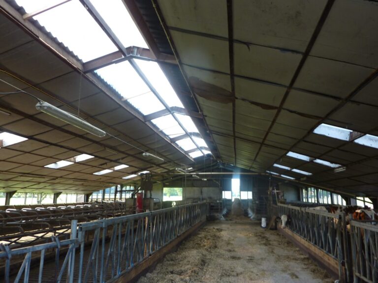 Projectfoto Renovatie met Heat Guard 50 in Eefde
