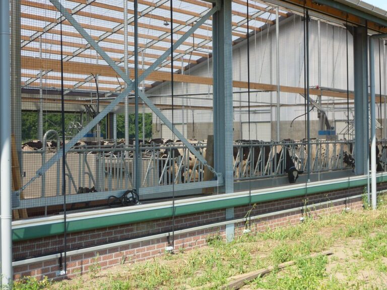 Projectfoto Opaal golfplaten in koeienstal in Lochem