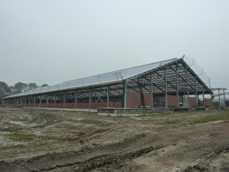 Projectfoto Nieuwbouwstal met lichtdoorlatend dak in Middenmeer