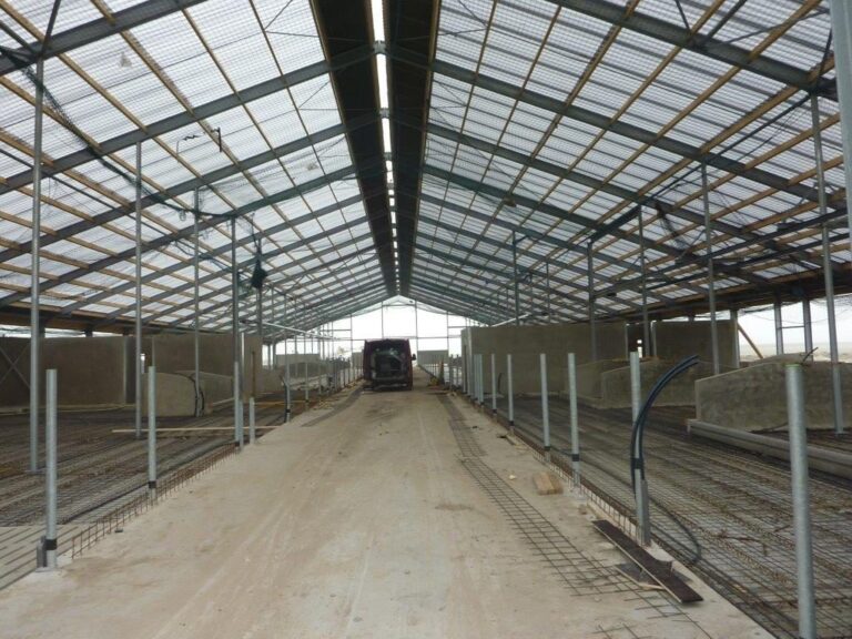 Projectfoto Nieuwbouwstal met lichtdoorlatend dak in Middenmeer