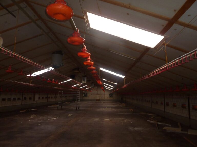 Projectfoto Opaal lichtplaten in bestaand dak