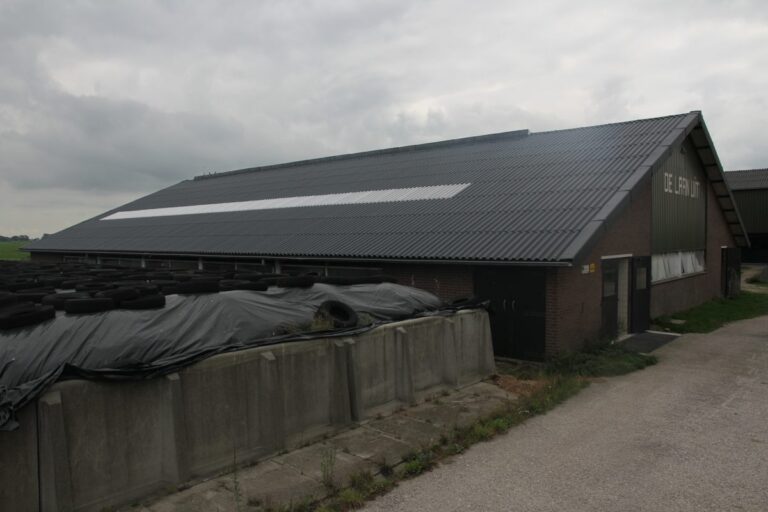 Staldak met Landini golfplaten en lichtstrook in Oud Ade