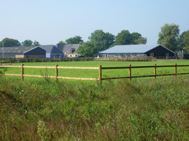 Projectfoto Paardenstal met lichtdoorlatend dak in Lochem