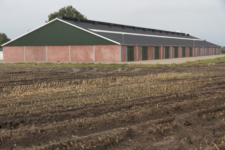 Projectfoto Varkensstal in Putten