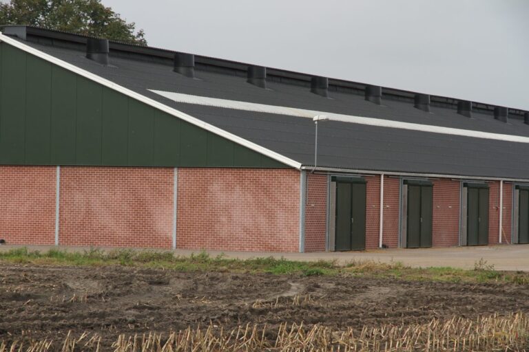 Varkensstal in Putten met vezelcement golfplaten en lichtstrook