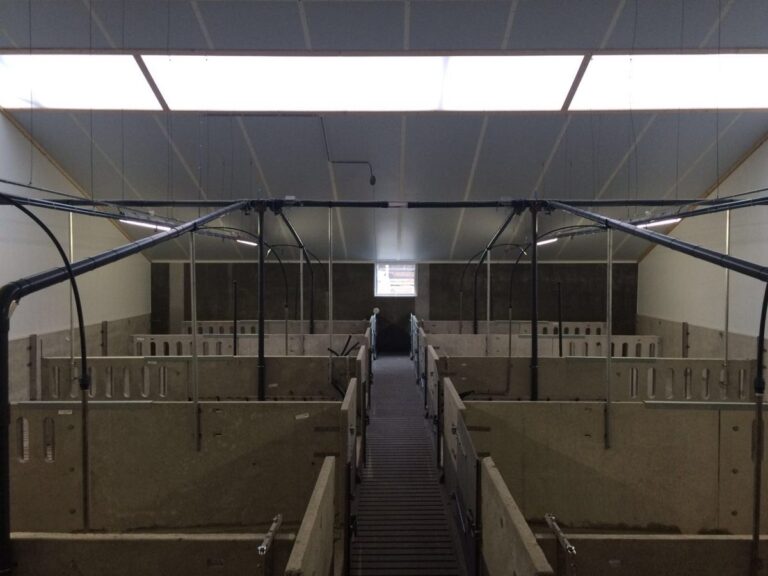 Projectfoto Lichtdoorlatende golfplaten bij vleesveebedrijf