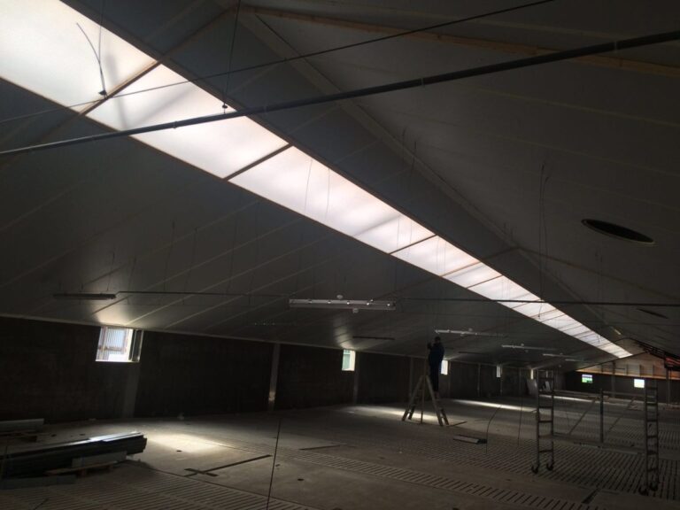 Projectfoto Lichtdoorlatende golfplaten bij vleesveebedrijf